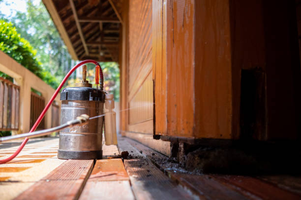 Best Mosquito Control Services  in Maricopa, AZ