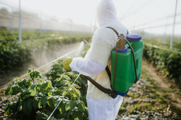 Pest Control for Restaurants in Maricopa, AZ